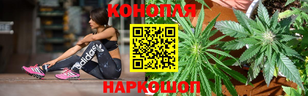 Конопля Amnesia Югорск